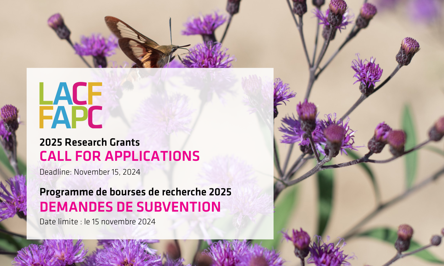 2025 Research Grants | Call for Applications | Deadline: November 15 2024